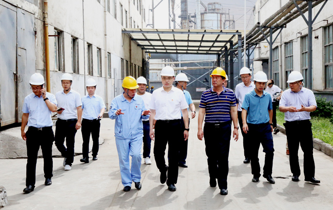 新安縣委副書記、縣長王智一行到萬基控股集團調研